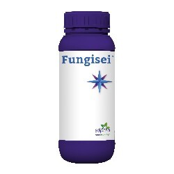Fungisei